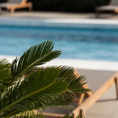 Tzanis Hotel 4*